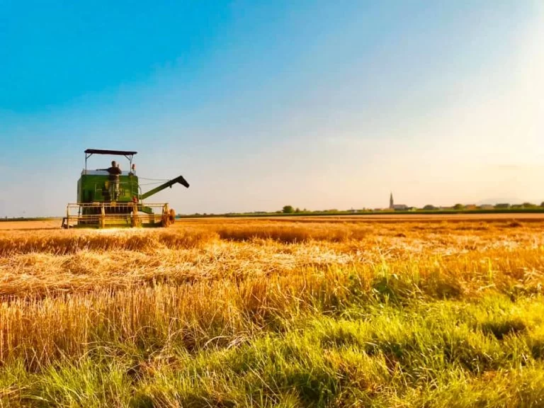  moissonneuse dans un champs de blé